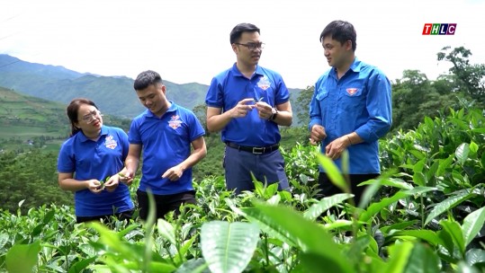 Bát Xát: 8 xã đạt tiêu chí thu nhập