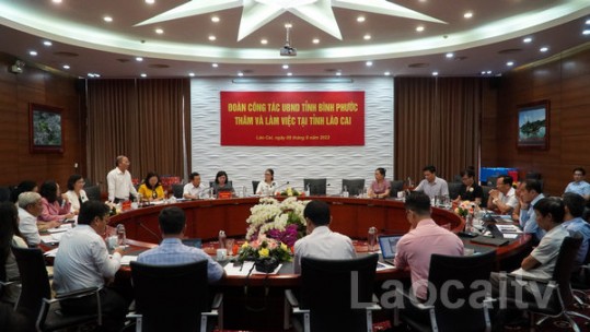 Lào Cai -Bình Phước: Chia sẻ kinh nghiệm xây dựng cơ chế tự chủ, đặt hàng thông tin - tuyên truyền