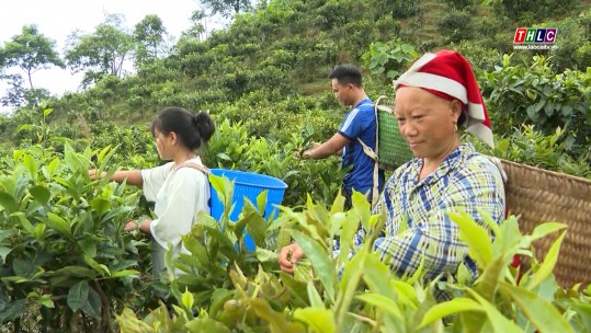 177 thôn được công nhận thôn kiểu mẫu