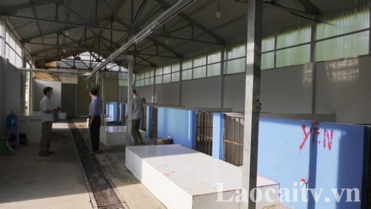 Lào Cai phấn đấu có 38 cơ sở giết mổ gia súc, gia cầm tập trung