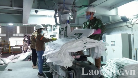 Lào Cai cấp chứng nhận đăng ký cho 422 doanh nghiệp