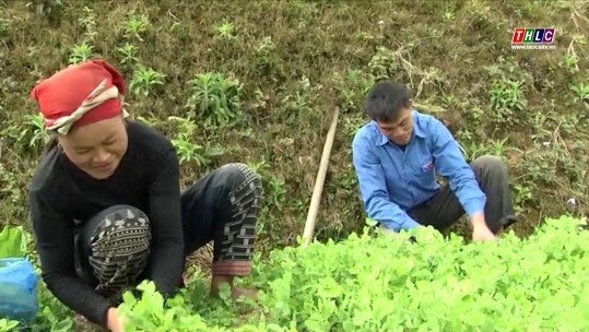 Tuổi trẻ Sa Pa tham gia xây dựng nông thôn mới