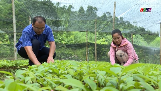Nâng cao vị thế, vai trò của tổ chức Hội Nông dân