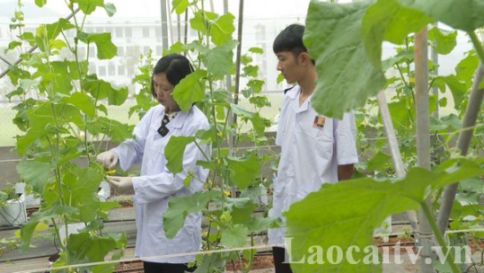 Đào tạo nguồn nhân lực phục vụ phát triển ngành nông nghiệp
