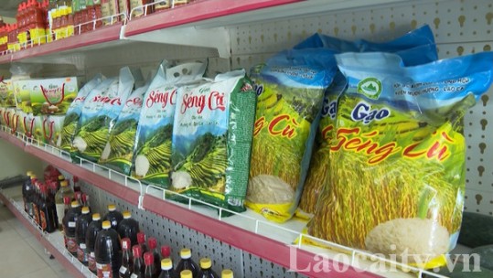 Tin thị trường 16/9: Giá một số nông sản đặc hữu của Lào Cai