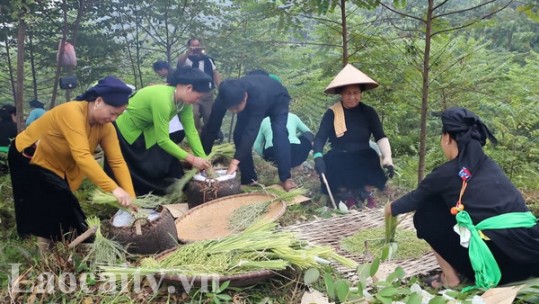 Rộn ràng Lễ hội cốm Nghĩa Đô