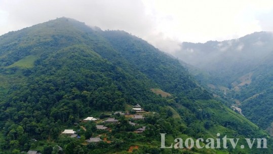 Lào Cai nâng cao diện tích, chất lượng rừng tự nhiên