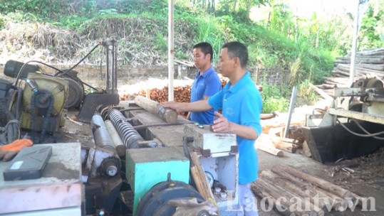 Phát triển rừng gắn với chế biến lâm sản tại chỗ