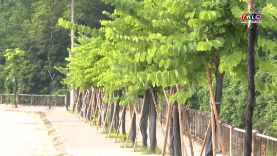 Cam Đường xây dựng nông thôn mới nâng cao gắn với đô thị hoá