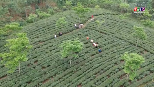 Bảo Yên: Trên 411 tỷ đồng thúc đẩy phát triển kinh tế, xã hội vùng đồng bào dân tộc thiểu số