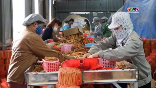 Bảo Thắng thu hút 8 dự án đầu tư vào nông nghiệp nông thôn