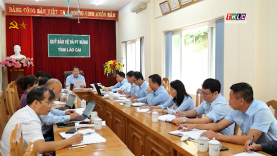 Thường trực Hội đồng nhân dân tỉnh giám sát chính sách pháp luật về dịch vụ môi trường rừng