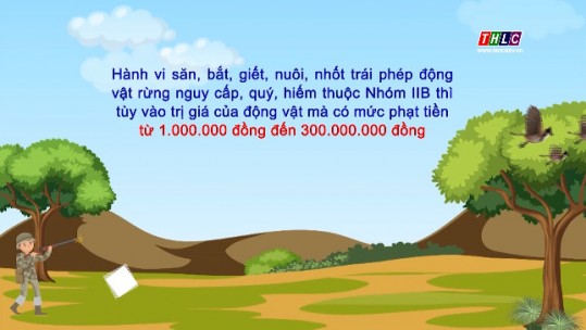 Mức phạt đối với hành vi săn bắt, buôn bán trái phép động vật rừng quý hiếm