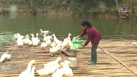 Bảo Yên phấn đấu đưa 7 xã ra khỏi địa bàn đặc biệt khó khăn