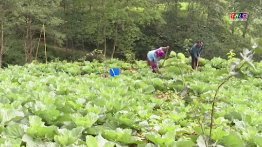 Si Ma Cai phấn đấu hoàn thành thêm 51 tiêu chí nông thôn mới