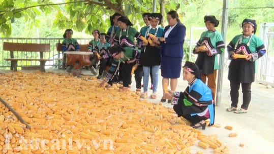 Mường Khương quan tâm công tác cán bộ nữ