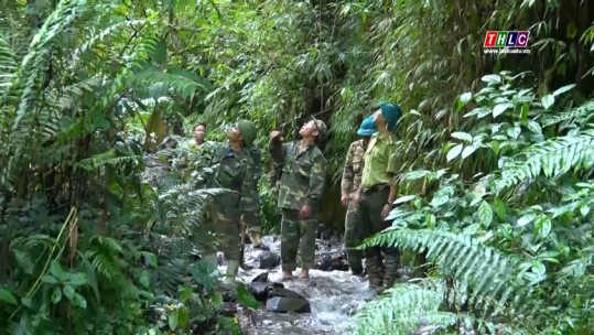 Khu bảo tồn thiên nhiên Hoàng Liên - Văn Bàn tăng cường các giải pháp quản lý bảo vệ rừng