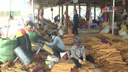 Đẩy mạnh giải pháp để nông nghiệp Lào Cai đi sau về trước