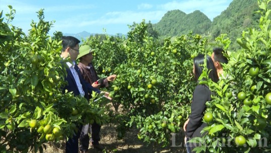 Lợi ích kép từ ủy thác vay vốn