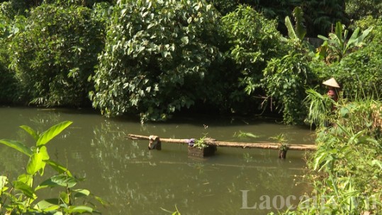 Làm giàu từ mô hình kinh tế tổng hợp