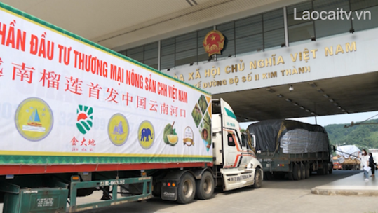 Lào Cai tích cực hỗ trợ xuất khẩu nông sản