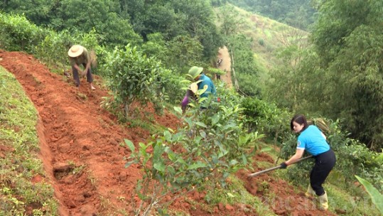 Đổi mới tư duy phát triển kinh tế của người dân vùng cao