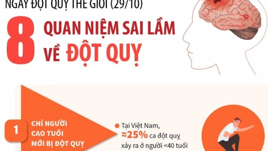 Ngày Đột quỵ thế giới 29/10: 8 quan niệm sai lầm về đột quỵ