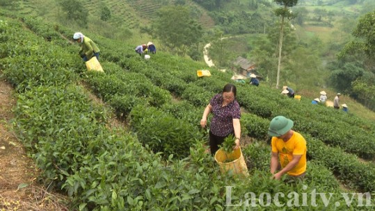 Phát huy vai trò trưởng thôn, bản trong công tác giảm nghèo