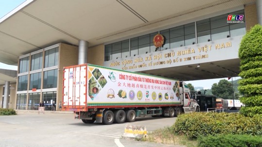 Giá trị xuất nhập khẩu đạt trên 1.800 triệu USD
