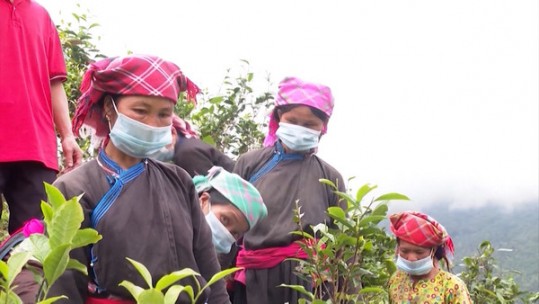 Đổi mới hoạt động khuyến nông trong xây dựng các mô hình, dự án trình diễn