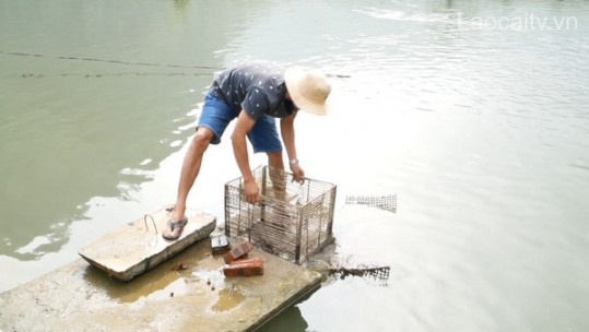Phát triển sinh kế phù hợp để giúp cộng đồng thích ứng với rủi ro thiên tai