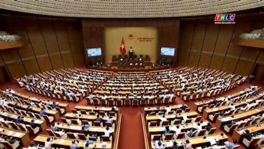 Xử lý tội phạm tham nhũng trong lĩnh vực đất đai và đấu thầu