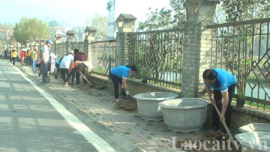 Ươm những đường hoa trên cao nguyên