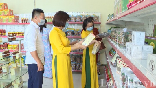 Hỗ trợ chuyển đổi số cho hợp tác xã, doanh nghiệp nhỏ và vừa