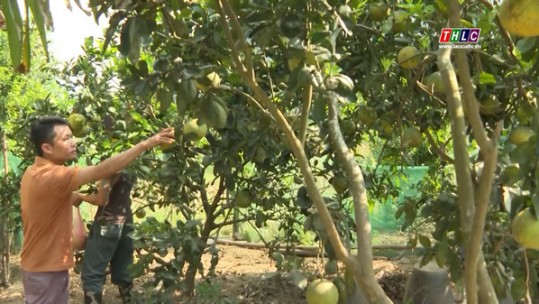 Cán bộ Hội Nông dân tiêu biểu trong phát triển kinh tế ở xã Hòa Mạc