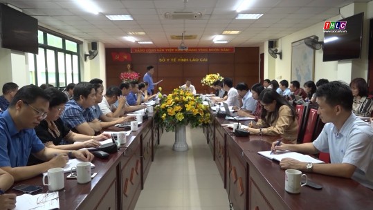 Thường trực HĐND tỉnh làm việc với Sở Y tế và Bảo hiểm xã hội tỉnh