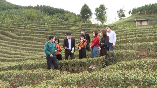 Nâng cao nhận thức của người dân trong việc sử dụng thuốc bảo vệ thực vật
