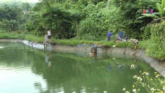 Đẩy mạnh xây dựng chuỗi liên kết trong sản xuất thủy sản