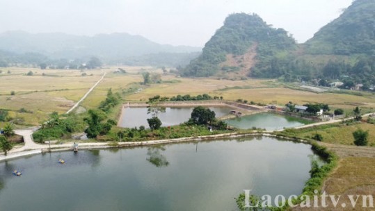 Tăng cường phòng chống rét, dịch bệnh cho động vật thủy sản