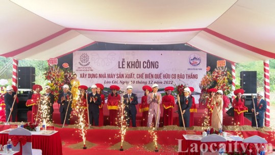 Khởi công Nhà máy sản xuất và chế biến quế hữu cơ Bảo Thắng