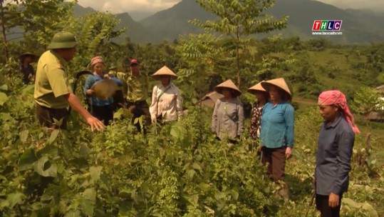Đẩy mạnh công tác tuyên truyền phòng chống cháy rừng