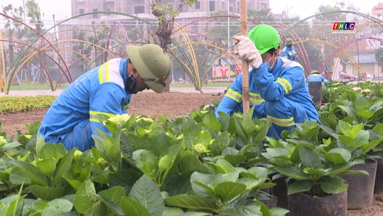 Phú Thọ trồng mới nhiều loại hoa tại công viên Văn Lang