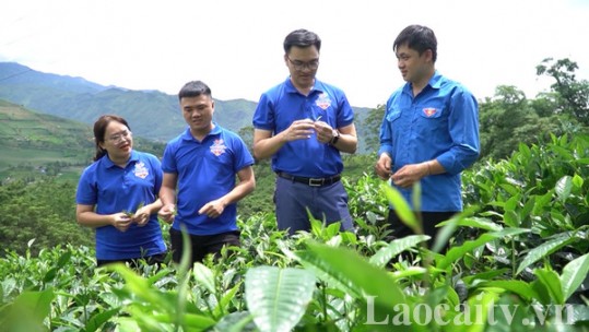 Phát triển toàn diện thanh niên Lào Cai
