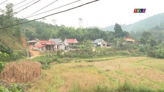 Sức sống mới ở bản Dao Mai Đào