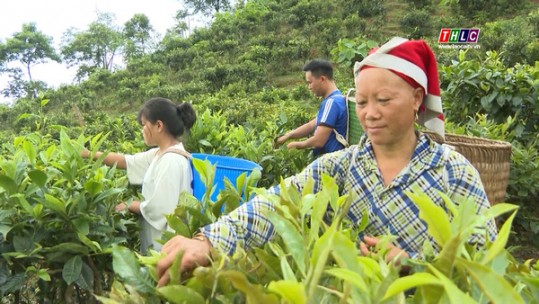 Đồng hành cùng các thôn vùng cao phát triển