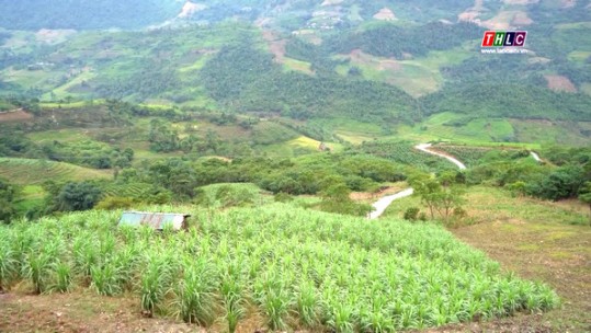 Thanh Bình giải bài toán thu nhập