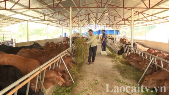 Nguồn vốn Nghị quyết 26: Động lực thúc đẩy phát triển sản xuất bền vững
