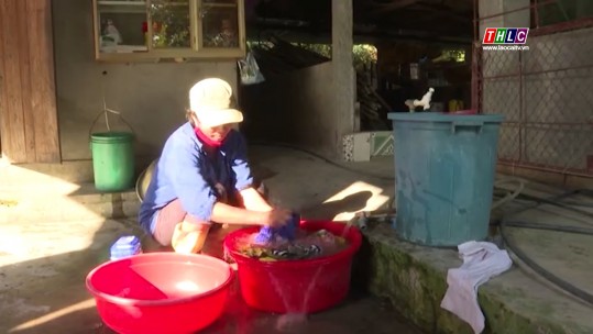 Lào Cai tăng cường bảo vệ môi trường, an toàn thực phẩm và nước sạch nông thôn