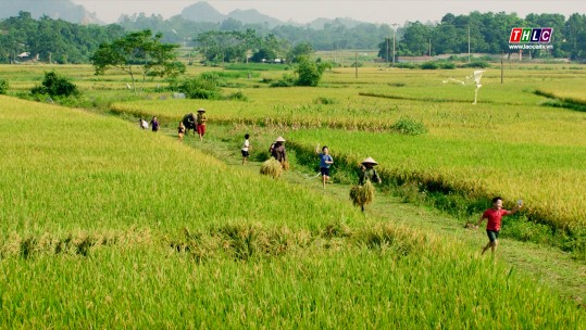 Chương trình cho vay Nước sạch và Vệ sinh môi trường