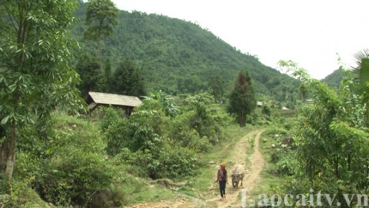 Hoàn thành 23 chỉ tiêu chương trình MTQG phát triển kinh tế - xã hội vùng đồng bào DTTS